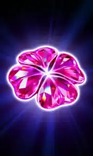 Pink Clovers XXL